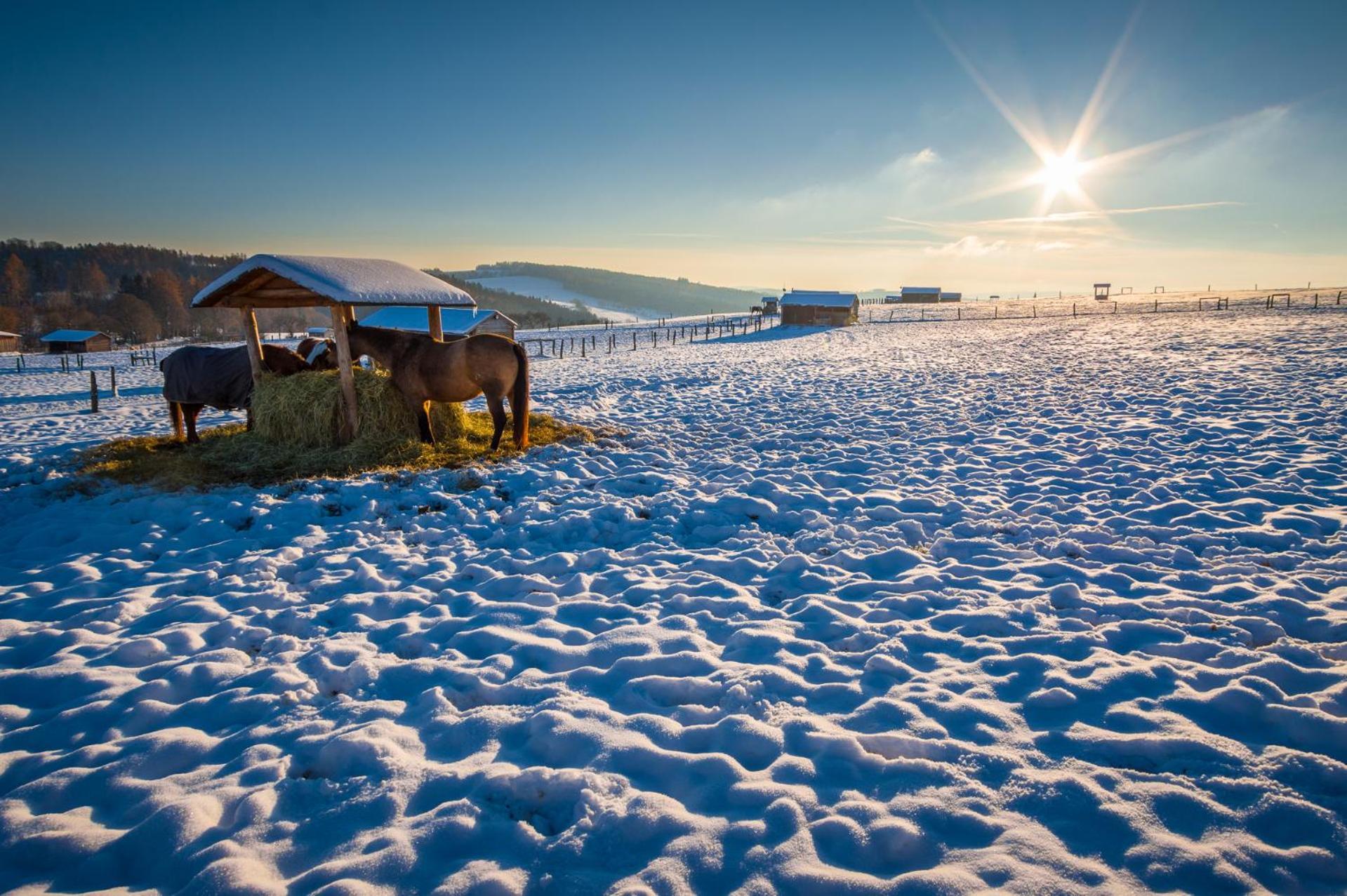 Ranch Jestrebice Hotel Hermanicky Екстериор снимка